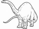 Fise Dinozauri Dinozaur Colorat Gradinita Lucru sketch template