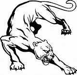 Cougar Clipart Mascot Cliparts Library Panther sketch template