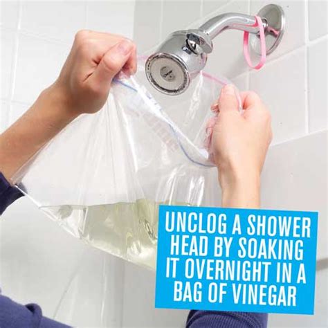 unclog  shower head  vinegar  zealand handyman magazine