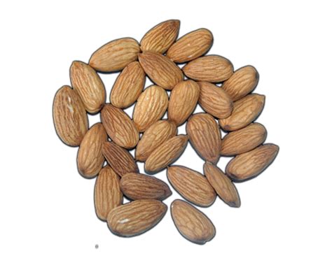 nuts almonds learn  almonds almonds lessons