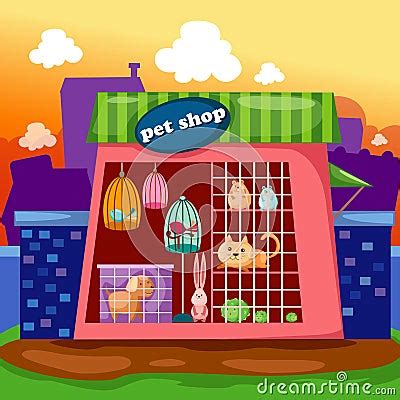 pet shop royalty  stock photography image