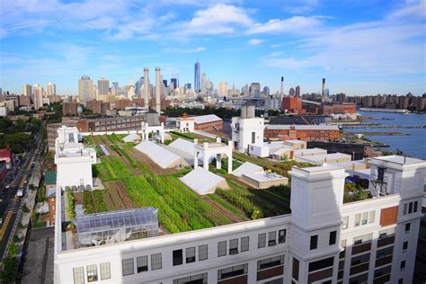 urban rooftops farms gardens housing   curbed