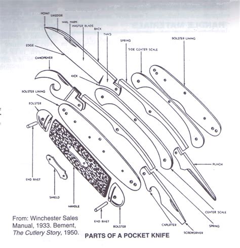 anatomy   pocket knife