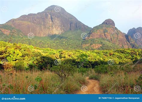 agasthya malai south india stock photo image  ghats western