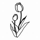Ausmalen Blume Malvorlage Fensterbilder Kostenlose Osterglocken Kinderbilder Tulpe Tulpen Ostern Ausmalbild Ausschneiden Erstaunlich Jahreszeiten Blüten Bestimmt sketch template