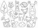 Animal Animales Bosque sketch template