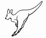 Kangaroo Template Templates Crafts Leaping sketch template