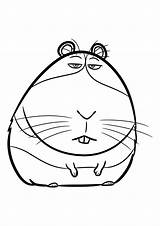 Hamster Haustiere Ausmalbilder Mascotas Secreta Zhizn Domashnih Raskrasil Norman Meerschweinchen sketch template