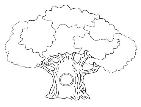 big tree coloring pages  getcoloringscom  printable colorings