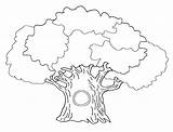 Tree Coloring Pages Big Family Trees Color Drawing Bare Delorean Print Kids Colouring Printable Getcolorings Coloriage Popular Sampler Getdrawings sketch template