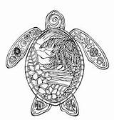 Colouring Turtle Coloring Pages Adult Animal Aboriginal Sheets Print Book Turtles Books Drawing Beach Freeman Oceanne Drawings Tatoo Tattoos Body sketch template