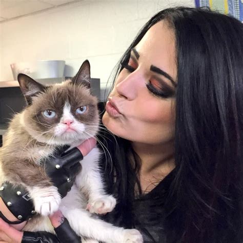 grumpy cat meets paige with images paige wwe wwe paige instagram