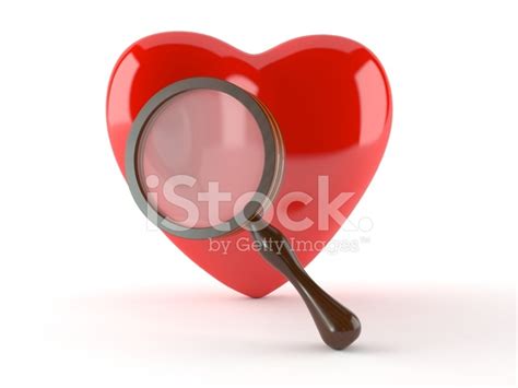 love search stock photo royalty  freeimages