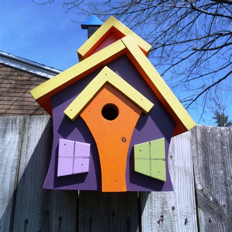 crazy birdhouse  adds modern color design   dbwoodcraftshop