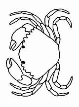 Colorat Raci Animale Crabs P13 Crab Planse Desene Primiiani Cangrejo Acoloringbook Vizite Voturi Plansa sketch template