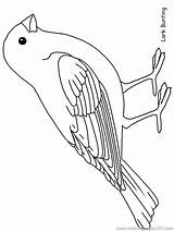 Coloring Bird Pages Animals Printable Color Robin Template Birds Patterns Drawings Print Outlines Coloringpagebook Popular Templates Printables Ws Advertisement Choose sketch template