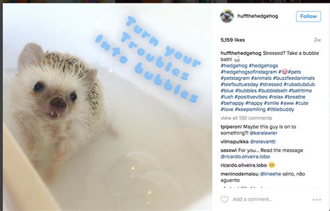 3 funny instagram accounts you need to follow immediately huffpost