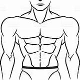 Drawing Abdominal Muscle Abdomen High Drawings Getdrawings sketch template