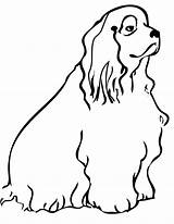 Spaniel Cocker Coloring Pages Dog Clipart Cockapoo Cliparts Template Library Handipoints Clipartbest Printable Getcolorings Getdrawings Drawings Color 1275 35kb sketch template