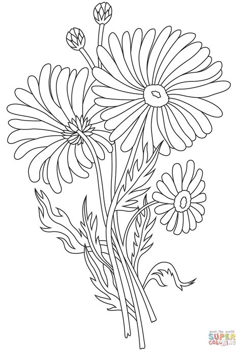 printable daisy coloring pages