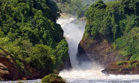 uganda afrika tourismus  uganda tripadvisor