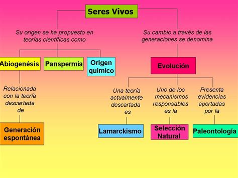 Evolución De Los Seres Vivos Mayo 2011