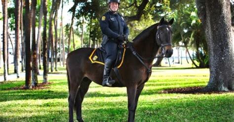 tampa police mounted patrol horse
