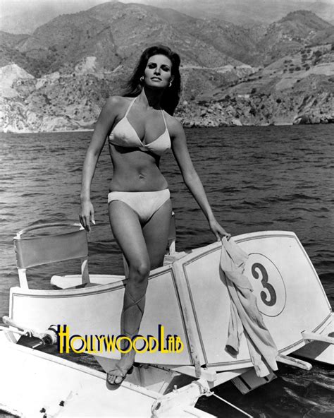 Raquel Welch 8x10 Professional Lab Photo 1970 S Bikini