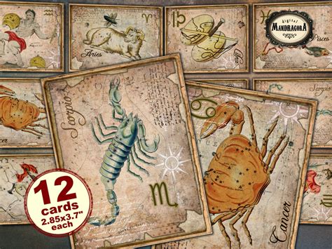 zodiac cards  antique celestial cards etsy