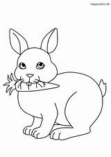 Hase Rabbit Möhre Ausmalbild Hasen Süßer Ausmalbilder Süßes Rabbits sketch template