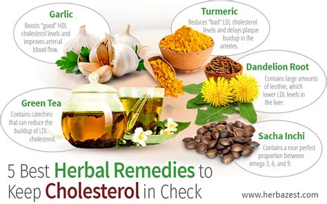 herbal remedies   cholesterol  check herbazest