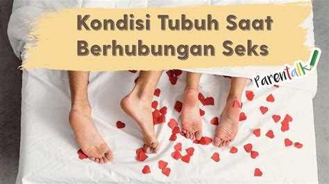 Ini Yang Terjadi Saat Kamu Berhubungan Seks Vidio