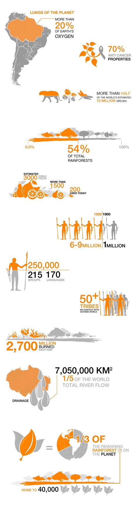 infographic the amazon at a glance environment al jazeera