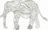 Elephant Drawing Indian Tribal sketch template