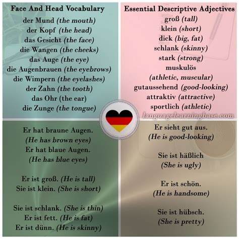 german vocabulary   physical appearance learn germangerman