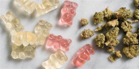 expect  edibles beginners guide