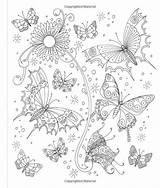 Kleurplaten Vlinders Rysunek Motyla Kolorowanka Volwassenen Riscos sketch template