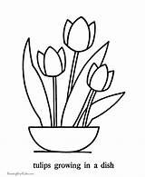 Coloring Tulip Flowers Pages Flower Tulips Simple Printable Pointillism Basic Easy Print Large Colouring Traceable Kids Spring Color Patterns Friends sketch template