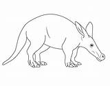Aardvark Coloring Draw Simple Drawing Step Pages Animals Kids Wild Printable sketch template