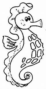Seahorse Coloring Fat Pouch Sizable Pages Cliparts Seaweed Clipart sketch template