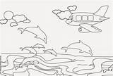 Beach Coloring Airplane Pages Crossing Kids Plane Dolphins sketch template