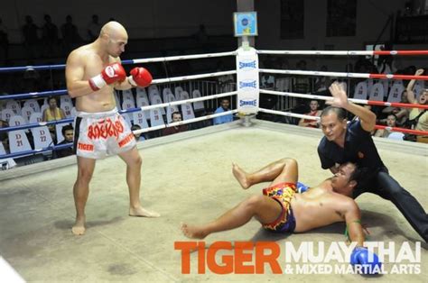 tiger muay thai fighters go 3 1 in thai boxing fights over two nights