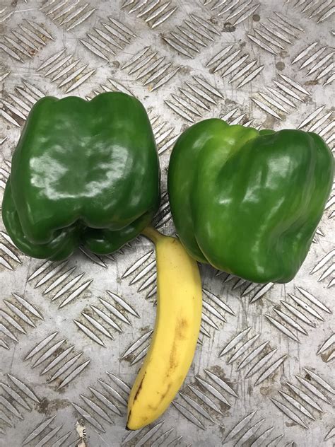 These Bigass Bell Peppers Stuffed Peppers Bad Girl