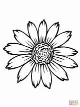 Sunflower Sunflowers Drawing Coloring Pages Simple Flower Template Printable Head Color Sketch Van Drawings Gogh Para Girasoles Dibujo Flowers Clipart sketch template