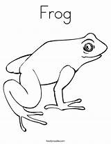 Coloring Frog Coqui Pages Green Printable Tree Drawing Eyed Red Getdrawings Toad Twistynoodle Comments sketch template