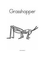 Coloring Grasshopper Template Cricket Change sketch template