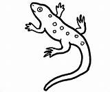 Lizard Coloring Drawing Pages Template Kids Horned Gecko Reptiles Reptile Toad Monitor Color Printable Getdrawings Cute Ceramic Tile Templates Colouring sketch template