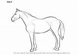 Horse Drawing Step Draw Body Animals Farm Tutorial Tutorials Learn Factors Enhancing Across Complete Other Drawingtutorials101 sketch template