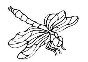 insects  printable coloring pages  kids