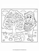 Picking Fall Primarygames Apples Coloring Pdf Pages Printable Games sketch template